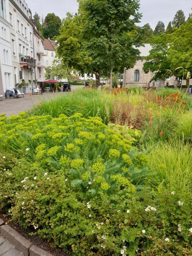 Sophienstrasse Appartement Baden-Baden Buitenkant foto